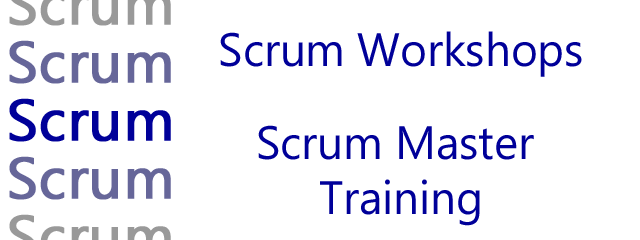 PMI CAPM hamburg